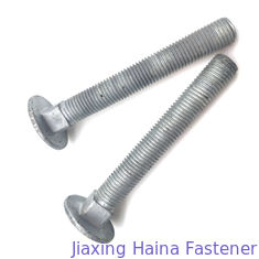Grade 6.8 M30 M20 HDG Carriage Bolt With Fine Pitch Thread To Electric Equipment