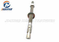 Stainless Steel 304 / 316 Wedge Anchor bolt for Machinery /Chemical Industry