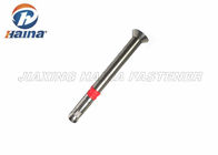 Customized Heavy Duty Expansion Countersunk Head Anchor Bolt