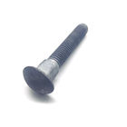 M36 M20 HDG Long Neck Galvanized Carriage Bolts With Fine Pitch Thread For Power