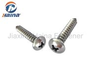 AISI 304 Stainless Steel Self Tapping Sharp Point Pan Head Framing Screws