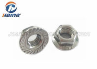 Stainless Steel M12 DIN6923 Serrated Hex Flange Nuts in Stock