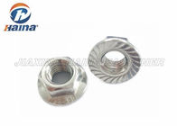 Stainless Steel M12 DIN6923 Serrated Hex Flange Nuts in Stock