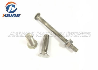 DIN608 A270 / 304 Stainaless Steel Flat Head Carriage Bolt with square neck