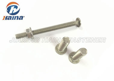 DIN608 A270 / 304 Stainaless Steel Flat Head Carriage Bolt with square neck