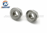 Plain Color Stainless Steel 316 304 M10 flange nut For Constructing
