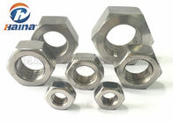 stock Fastener Products Stainless Steel 304 316 M6 M8 M10 Hex Head nut