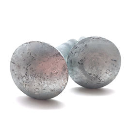 HDG Carriage Head M10 M24 zinc plated Round Head Square Neck carriage bolt