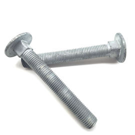 Grade 6.8 M30 M20 HDG Carriage Bolt With Fine Pitch Thread To Electric Equipment