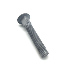 Grade 4.8 5.8 M12 M14 Metric Hot Dip Galvanized Mushroom Head Carriage Bolt