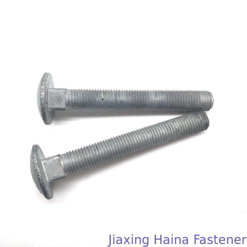 Grade 4.8 5.8 6.8 HDG M16 Carbon Steel 10-200mm Length Carriage Bolt