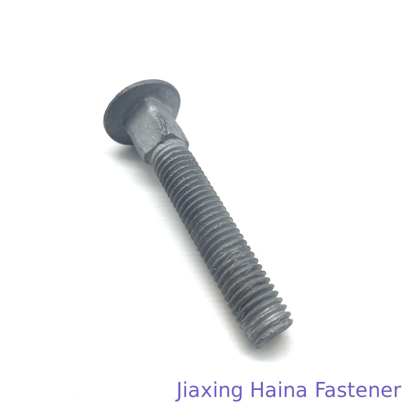 Grade 4.8 5.8 M12 M14 Metric Hot Dip Galvanized Mushroom Head Carriage Bolt