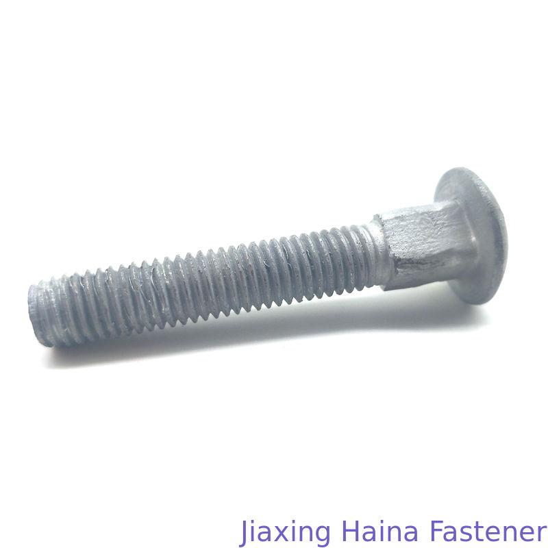 Carbon steel 4.8 5.8 M10 Long Neck Carriage Bolt With Fine Pitch Thread